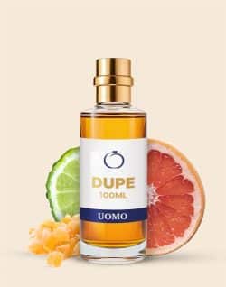 Dupe Profumo Terre d'Hermes 100ml Uomo