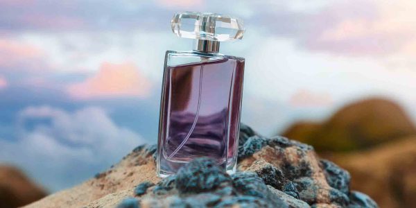 Fragranze simili al profumo Alien