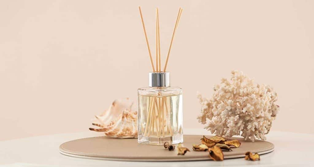 Raptus Parfum per la casa: tutta la linea di profumazioni