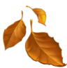 Autunno