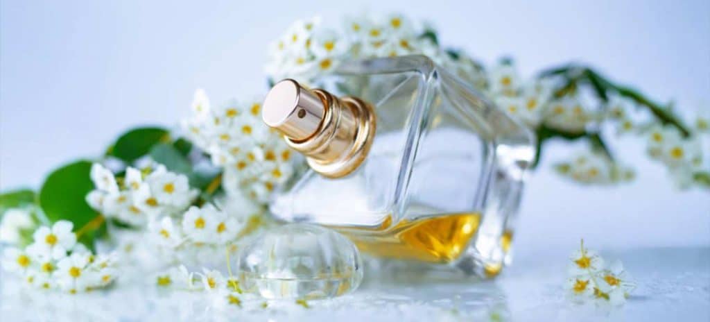 F M Profumi: scopri i migliori equivalenti economici da provare