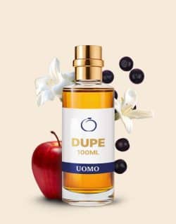 Dupe Profumo Creed Aventus 100ml Uomo